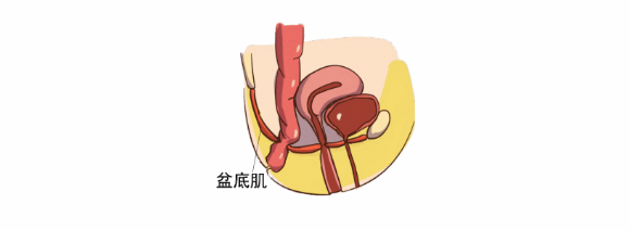 盆底疾病症狀——尿失禁,非尿路感染的尿頻尿急,尿不盡子宮脫垂